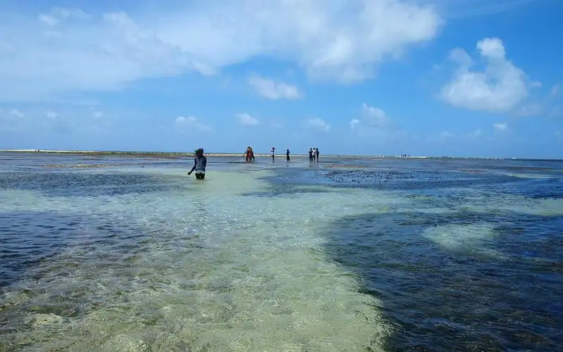 Reef con la bassa marea